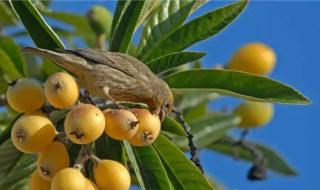 用什么可以生发 用什么可以生发